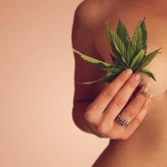7 Razones para usar CBD contra cáncer de mama - Family Cbd Mexico