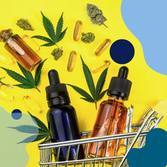 Aceite de CBD ..¿cómo identificar la calidad? - Family Cbd Mexico