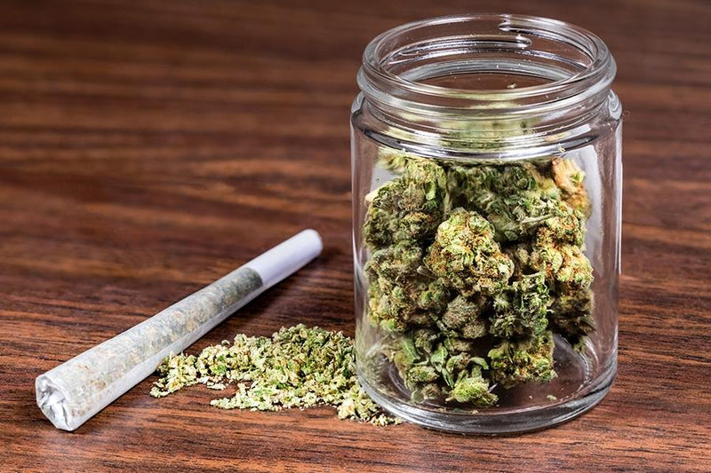 AMLO revela que ha recibido presión para legalizar la mariguana con fines de negocio - Family Cbd Mexico