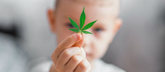 Cannabis Medicinal Ayuda Niños A Sobrellevar La Quimioterapia - Family Cbd Mexico