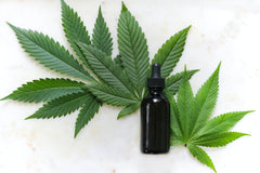 Cannabis podría impedir entrada de COVID-19 al sistema inmunológico - Family Cbd Mexico
