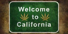 Cannabis prioridad en California por Pandemia - Family Cbd Mexico