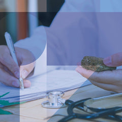 CBD Más efectivo que la dexametasona conta el COVID-19 - Family Cbd Mexico