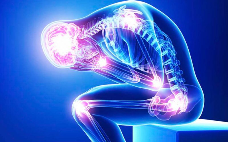 CBD México y el dolor neuropático toda la  investigación. - Family Cbd Mexico