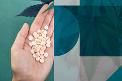 CBD vs. Analgésicos Narcóticos - Family Cbd Mexico