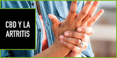 CBD y Artritis investigación y entendimiento actual - Family Cbd Mexico
