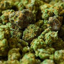 ¿De dónde viene el 4/20? - Family Cbd Mexico