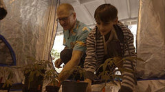 Documental de Netflix muestra cómo el cannabis reduce tumores ancerígenos - Family Cbd Mexico