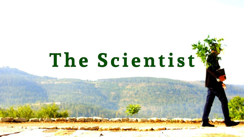 Documental El científico The Scientist Subtitulos en Español - Family Cbd Mexico
