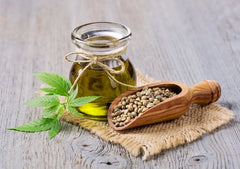 El Cáñamo Super Alimento - Family Cbd Mexico