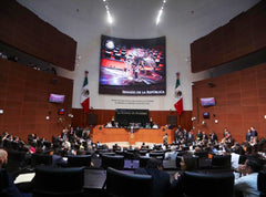El Senado aprueba los cuidados paliativos, incluyendo morfina y mariguana - Family Cbd Mexico