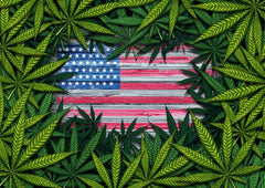 Por primera vez EUA vota para despenalizar la marihuana a nivel federal - Family Cbd Mexico