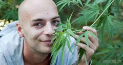 ¿Puede el CBD Realmente Curar el Cáncer? - Family Cbd Mexico