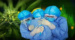 ¿Sabías qué el CBD te puede ayudar ante la llegada del coronavirus? - Family Cbd Mexico