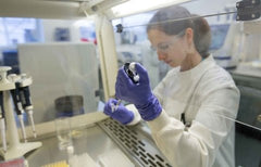 Según un estudio, el CBD mostró ser útil para combatir la infección de COVID-19 - Family Cbd Mexico