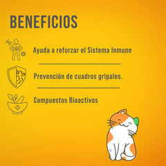 Kotai Suplemento jengibre, Curcuma, Camu - Camu, Vitamina C, A,D y Zinc Vegano Súper Antioxidante, Sistema Inmunitario y Desinflamatorio natural. - Family Cbd Mexico